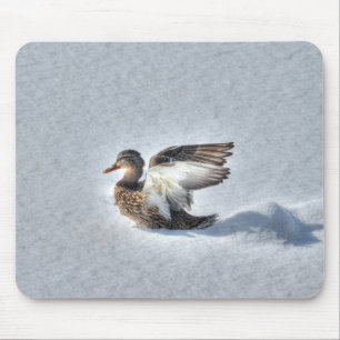 Mallard Duck Birdlover Wildlife Photo Mouse Mat