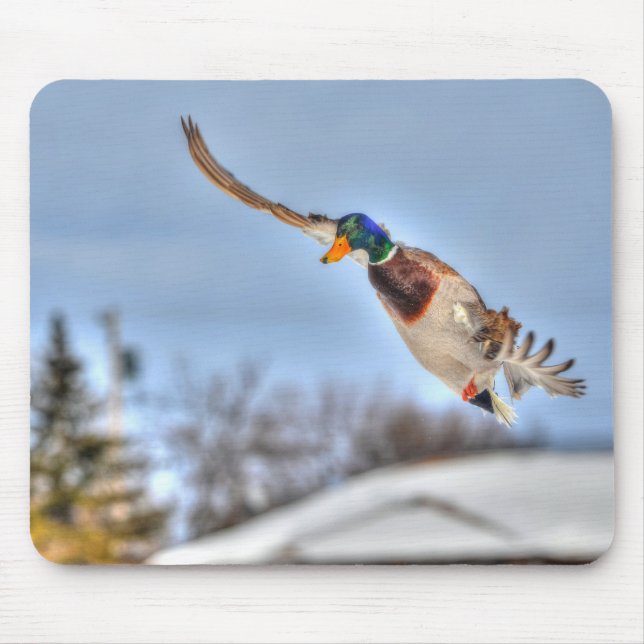 Mallard Duck Birdlover Wildlife Photo Mouse Mat (Front)