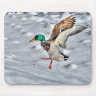 Mallard Duck Birdlover Wildlife Photo Mouse Mat