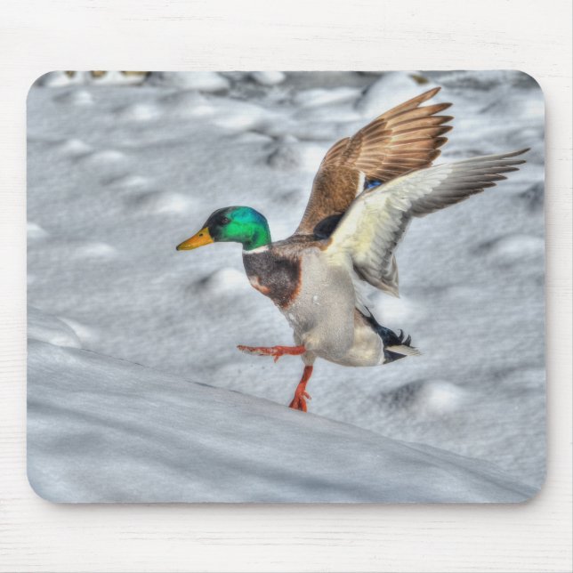 Mallard Duck Birdlover Wildlife Photo Mouse Mat (Front)