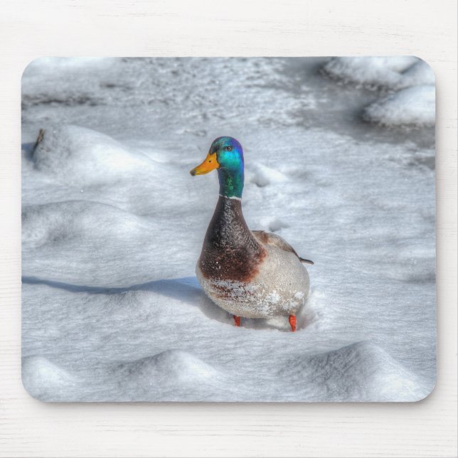 Mallard Duck Birdlover Wildlife Photo Mouse Mat (Front)