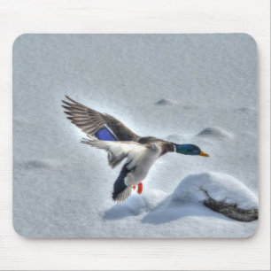 Mallard Duck Birdlover Wildlife Photo Mouse Mat