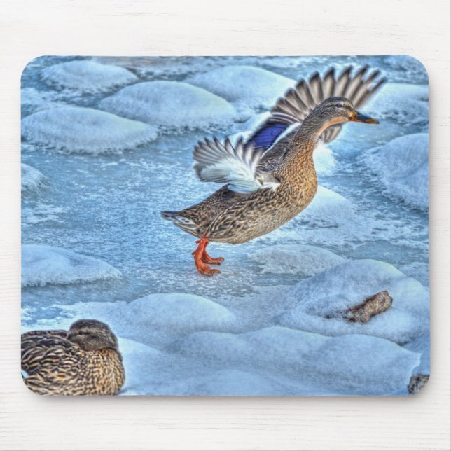 Mallard Duck Birdlover Wildlife Photo Mouse Mat (Front)