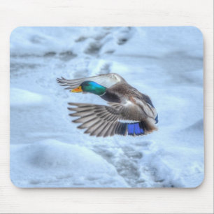 Mallard Duck Birdlover Wildlife Photo Mouse Mat