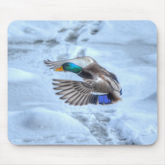 Mallard Duck Birdlover Wildlife Photo Mouse Mat (Front)