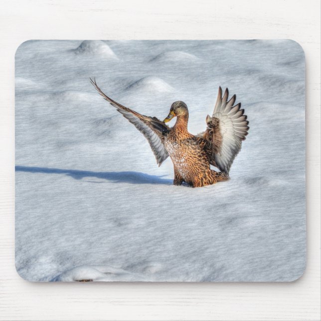 Mallard Duck Birdlover Wildlife Photo Mouse Mat (Front)