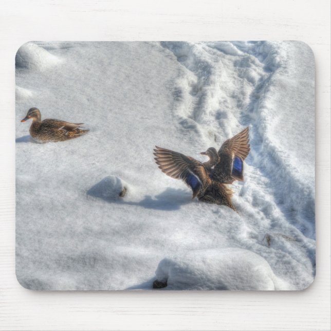 Mallard Duck Birdlover Wildlife Photo Mouse Mat (Front)