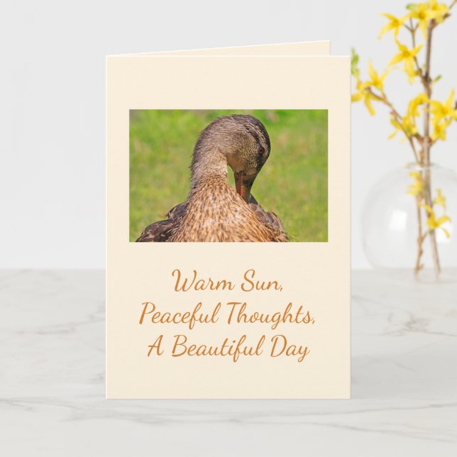 Mallard Duck Birthday Card (Yellow Flower)