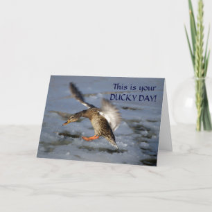 Mallard Duck Birthday Card
