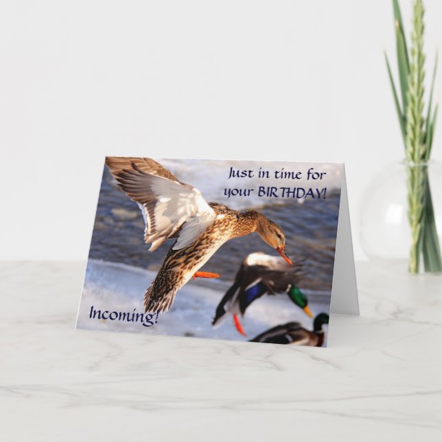 Mallard Duck Birthday Greeting  Card (Front)