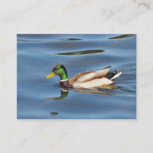 Mallard Duck Business Card