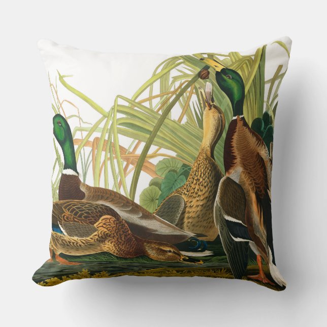 Mallard Duck by John James Audubon Cushion (Front)