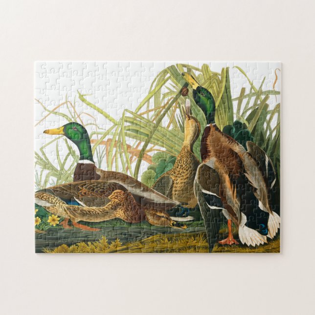 Mallard Duck by John James Audubon Jigsaw Puzzle (Horizontal)