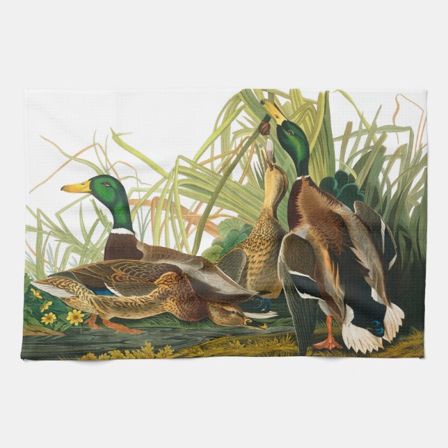 Mallard Duck by John James Audubon Tea Towel (Horizontal)