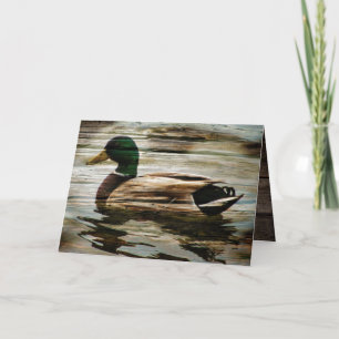 Mallard Duck Card