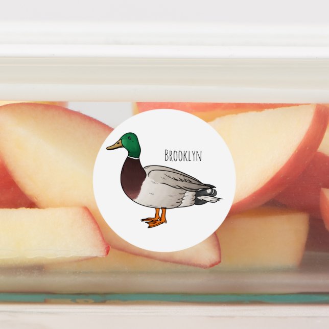 Mallard duck cartoon illustration (Affixed)