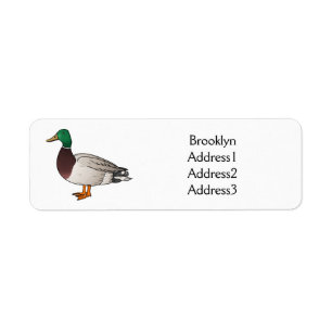 Mallard duck cartoon illustration