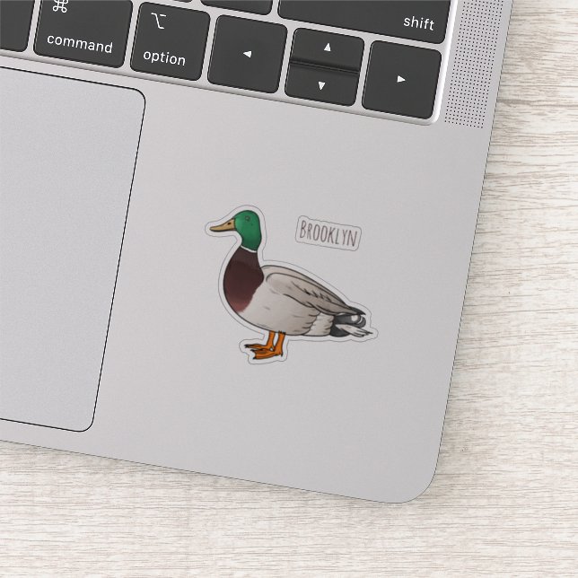 Mallard duck cartoon illustration (Detail)