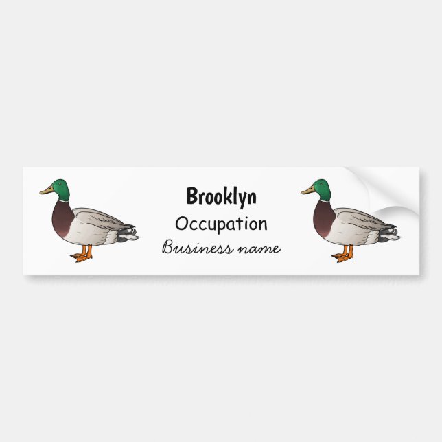 Mallard duck cartoon illustration bumper sticker (Front)
