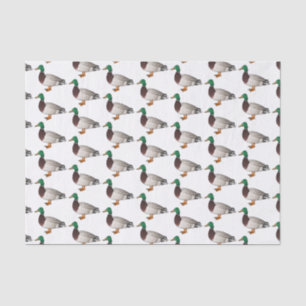 Mallard duck cartoon illustration  tissue paper