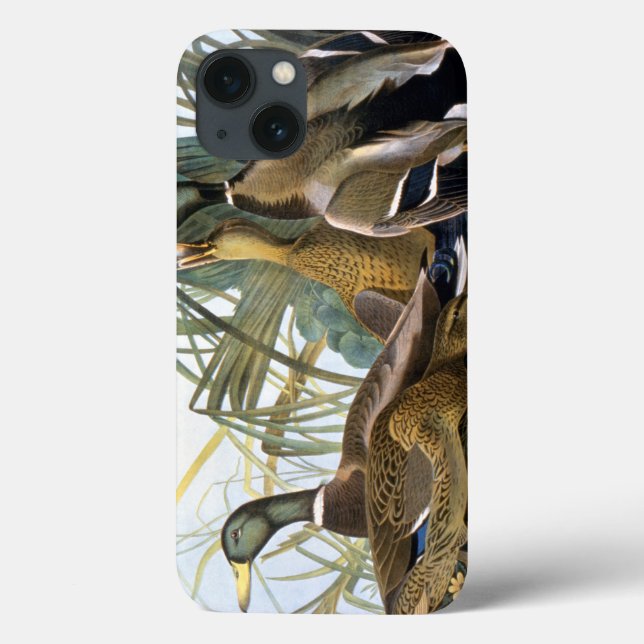 Mallard Duck Case-Mate iPhone Case (Back)