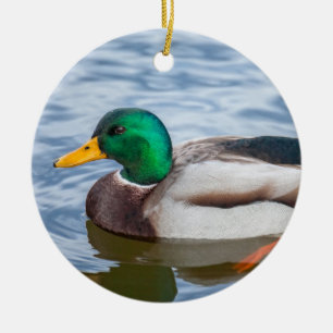Mallard Duck Ceramic Tree Decoration