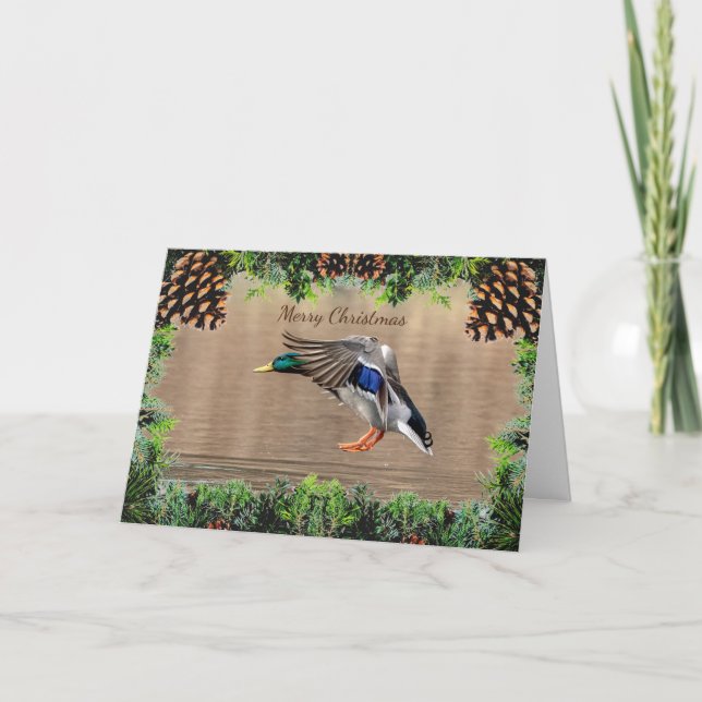 Mallard Duck Christmas Card (Front)