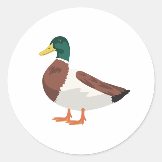 Mallard Duck Classic Round Sticker (Front)