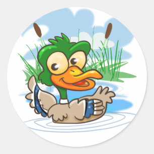 Mallard Duck Classic Round Sticker