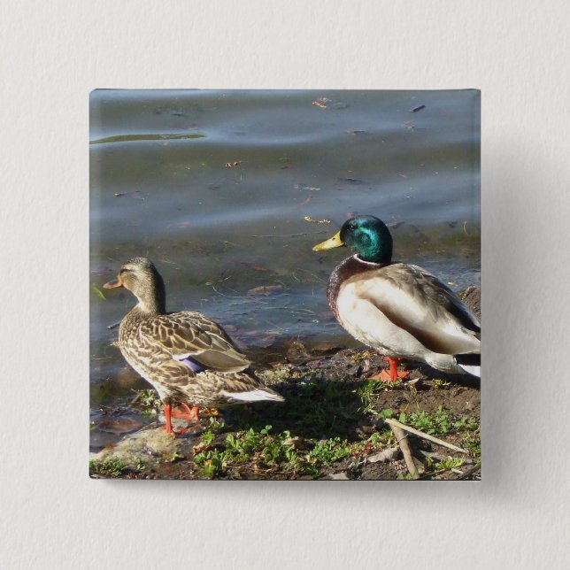 Mallard duck couple button (Front)