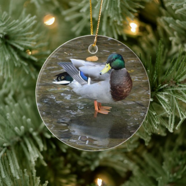 Mallard Duck (Creek) Ornament (Tree)