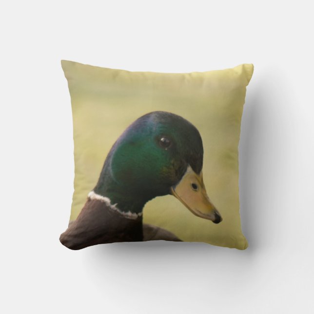 Mallard Duck Cushion (Front)