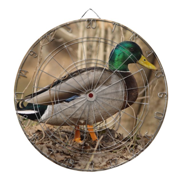 Mallard Duck Dart Board Special (Front)