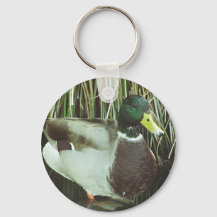 Mallard Duck Distinctive Male Bird Photo Nature Key Ring