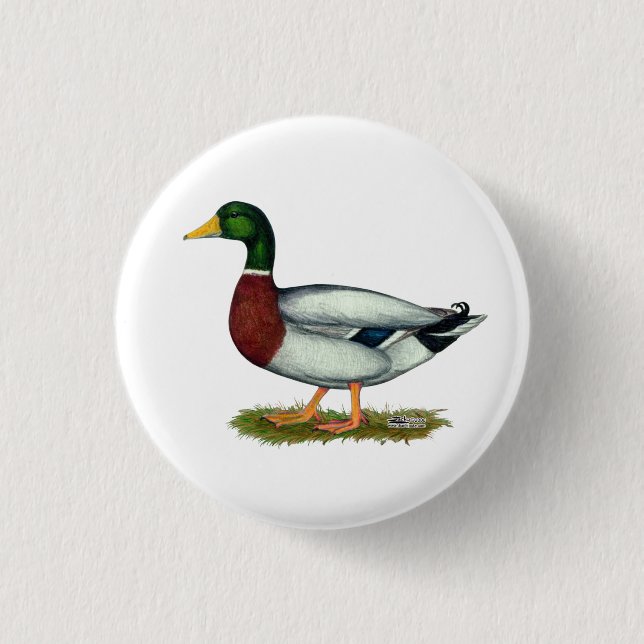 Mallard Duck Drake 3 Cm Round Badge (Front)