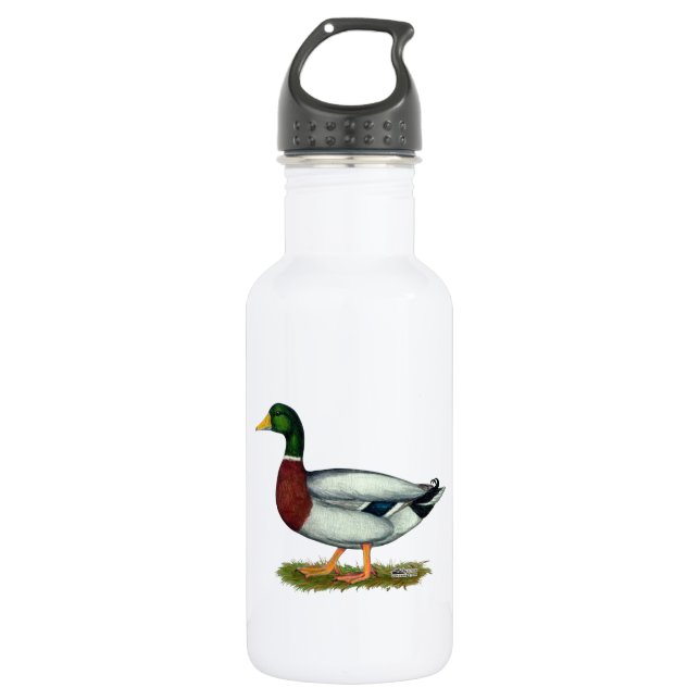 Mallard Duck Drake 532 Ml Water Bottle (Front)