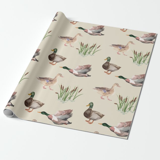 Mallard Duck Drake and Hen Wrapping Paper  (Unrolled)
