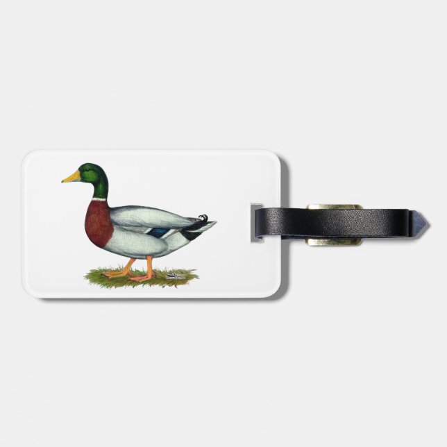 Mallard Duck Drake Luggage Tag (Back Horizontal)
