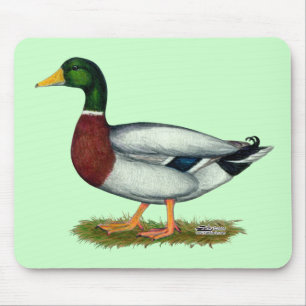 Mallard Duck Drake Mouse Mat