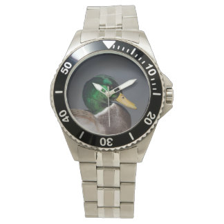 Mallard Duck Drake Stainless Steel Men's Watch