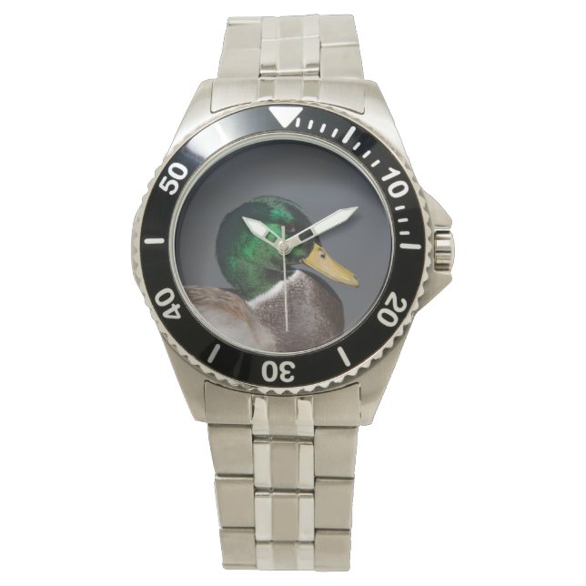 Mallard Duck Drake Stainless Steel Men's Watch (Front)