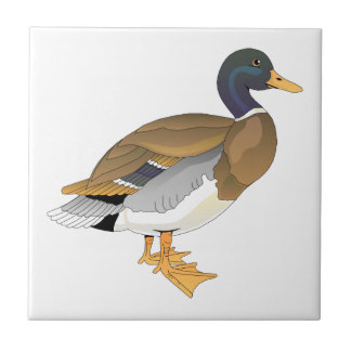 Mallard Duck (Drake) Tile
