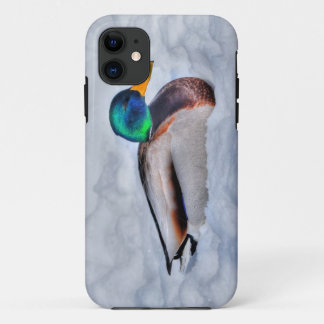 Mallard Duck Drake Wildlife Portrait iPhone 11 Case