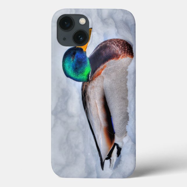 Mallard Duck Drake Wildlife Portrait Case-Mate iPhone Case (Back)