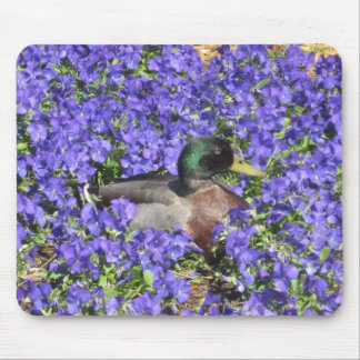 Mallard Duck Enjoying a Bed of Flowers Mousepad