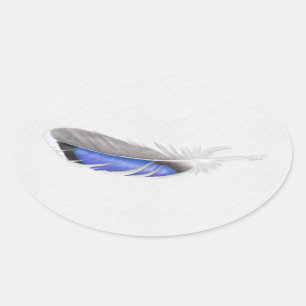 Mallard Duck Feather Watercolor Oval Sticker
