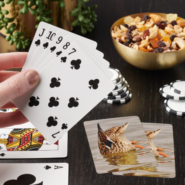 Mallard Duck Feeding Underwater Playing Cards (In Situ)