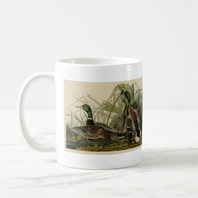 Mallard Duck from Audubon's Birds of America Coffee Mug (Left)