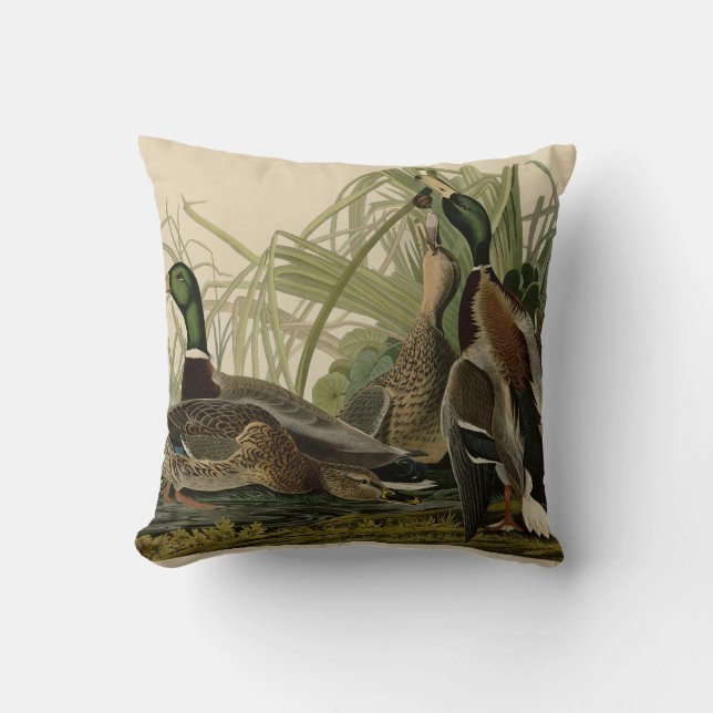 Mallard Duck from Audubon's Birds of America Cushion (Front)