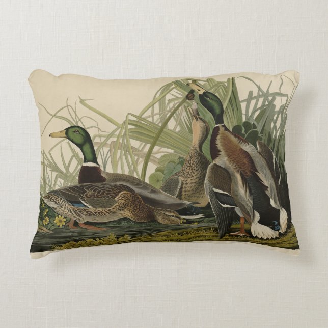 Mallard Duck from Audubon's Birds of America Decorative Cushion (Front)